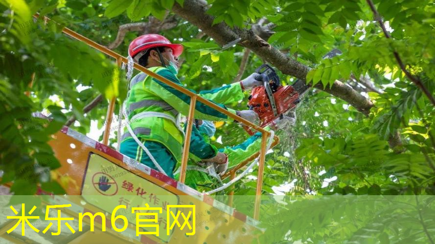 米乐m6官网：哪种网球拍实用性最高的