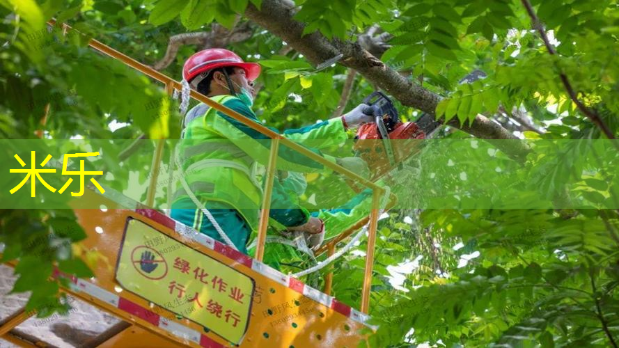 柯南被网球拍砸出脑震荡