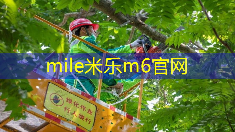永泰一中有没有乒乓球台
