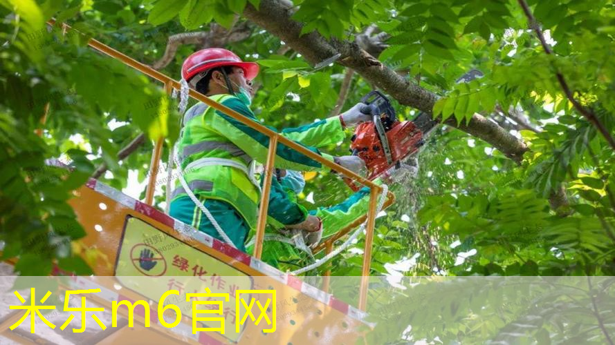 洋灰乒乓球台