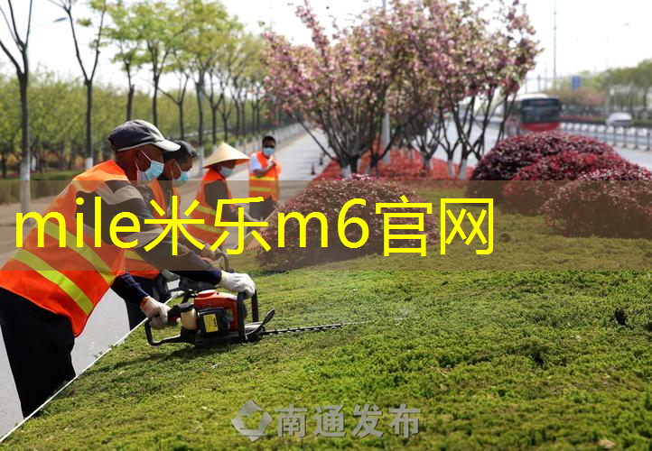乒乓球台子几米