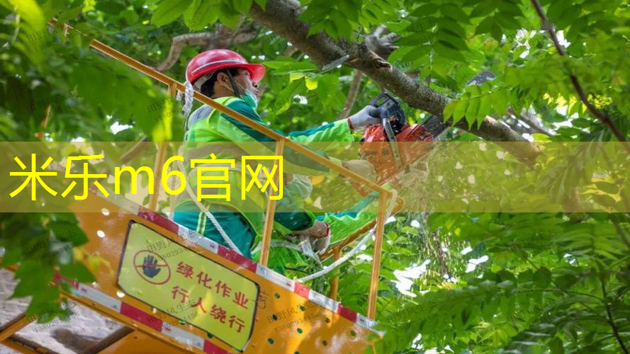 mile·米乐m6：田径项目需要哪些器材