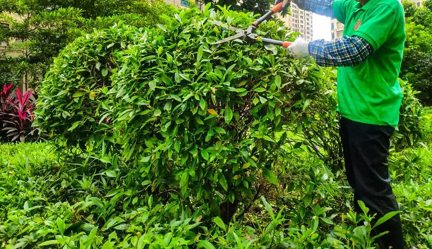 站立式网球拍怎么选尺寸