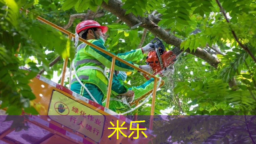 172用几号柄的网球拍
