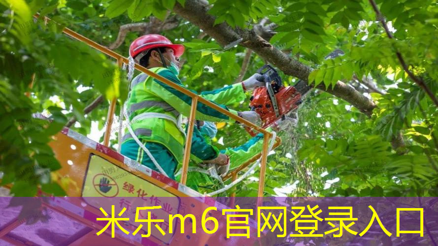 哪种网球拍实用性最高的
