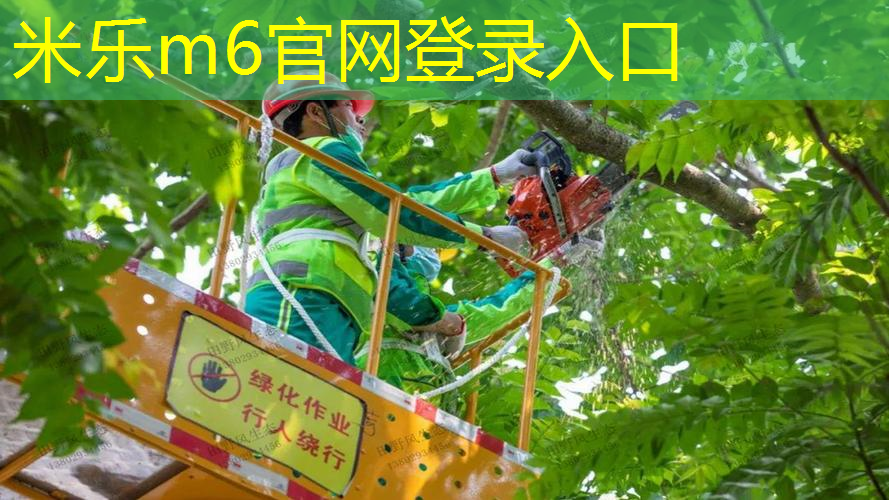 柯南被网球拍砸出脑震荡