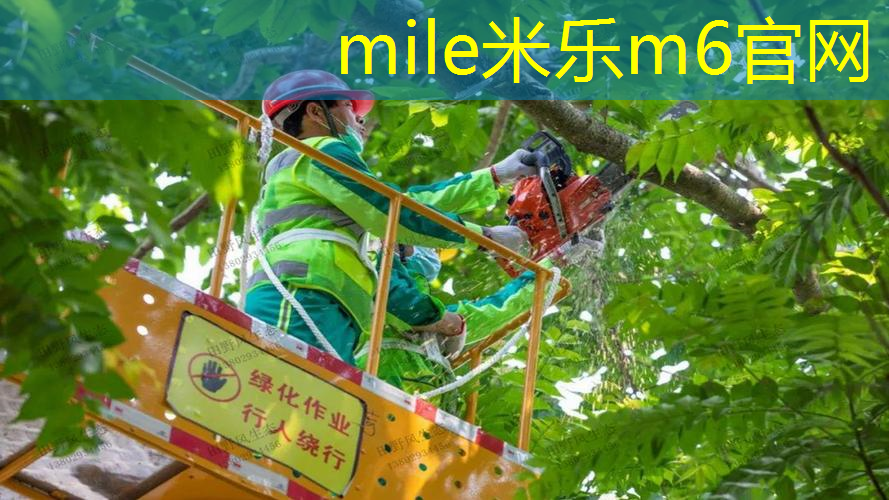 长得像网球拍的物品是什么