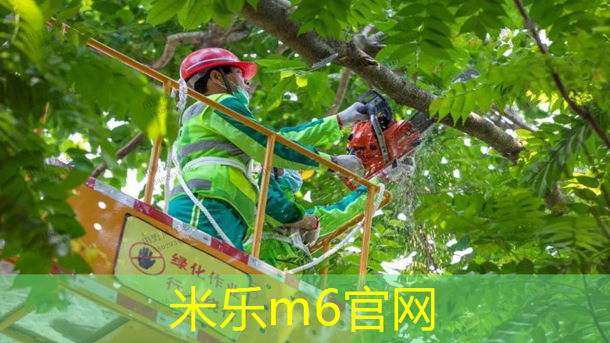 永泰一中有没有乒乓球台