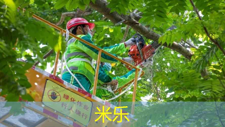 洋灰乒乓球台