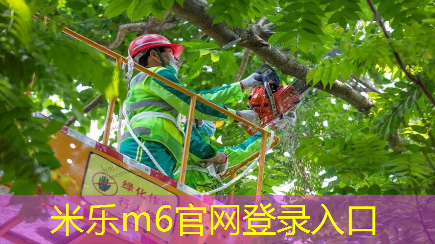 室内健身弹力器械