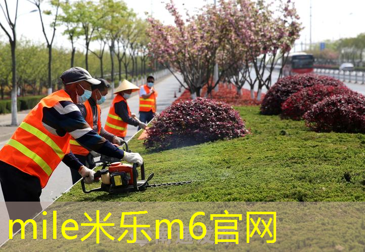 独特的设计差异！探索标准单杠和普通单杠的奥秘！